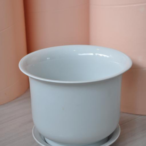 Pflanzentopf mit Untersetzer 14.jpg